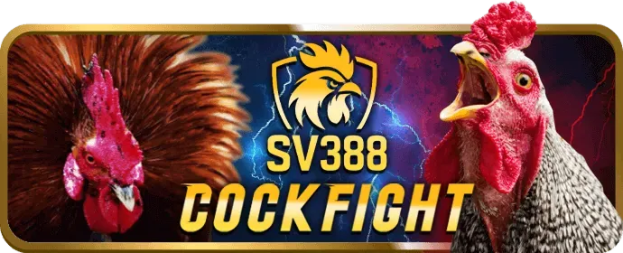 Chương Trình VIP MU9